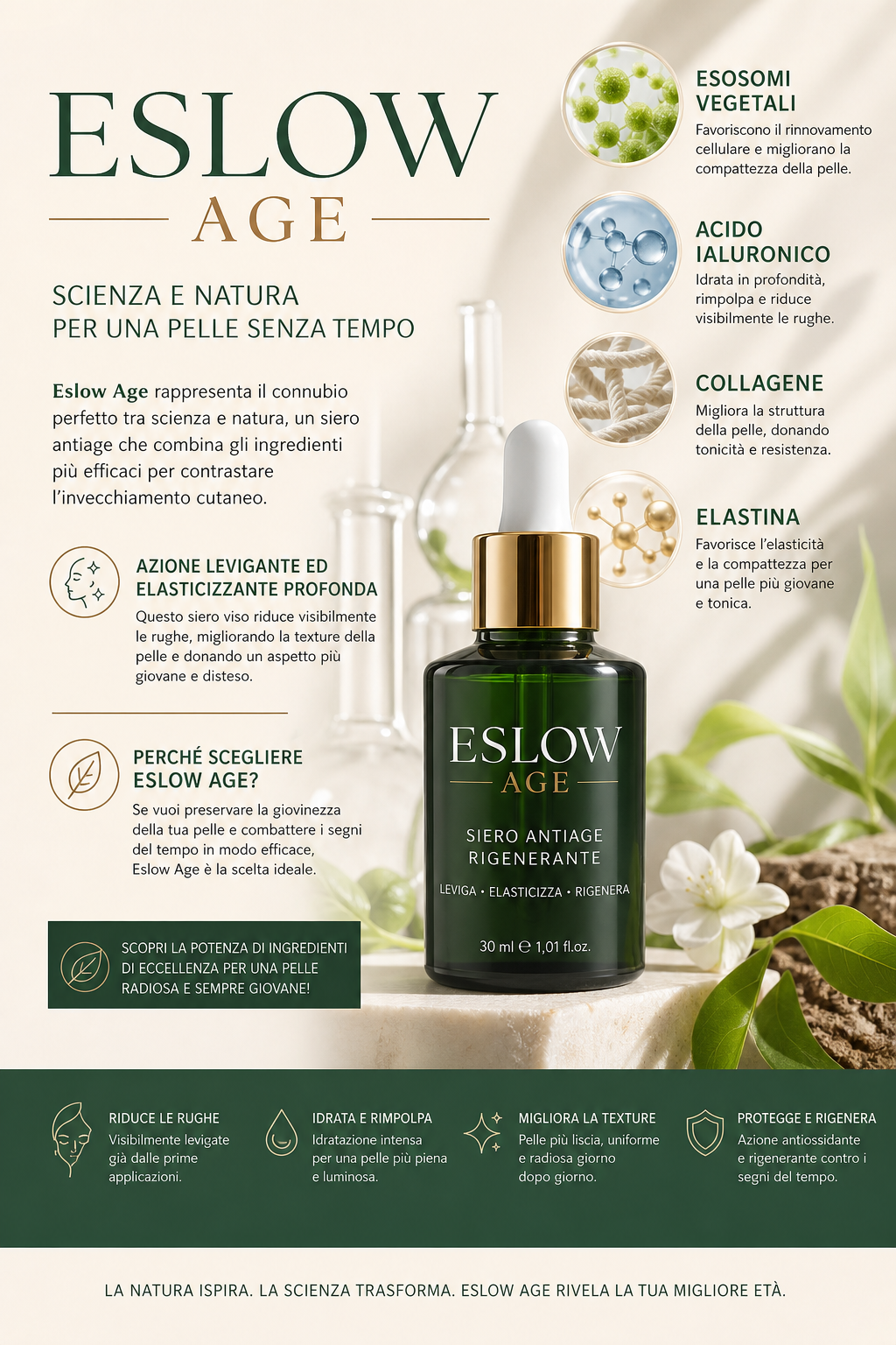 Infografica del siero viso Eslow Age: esosomi vegetali, acido ialuronico,